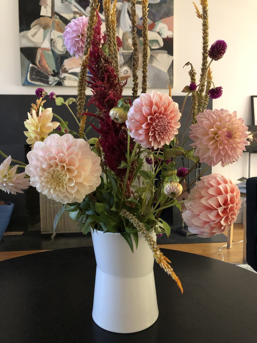 Picked these beautiful dahlias today at Pie in the Sky berry and flower farm in Northampton. #urbanfarming  #northamptonma