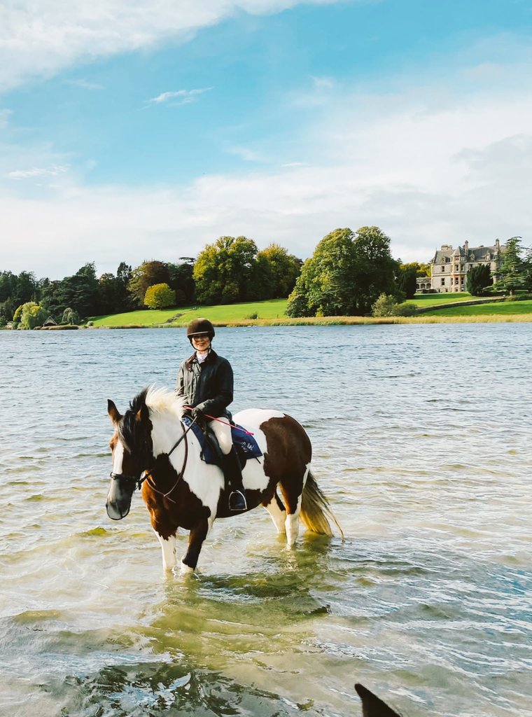 Highheeledlady's tweet photo. Beautiful day autumn day with Jigsaw and Bluebell!! #happpysaturday #horselove #equestrian #monaghan #October2022 https://t.co/g0TFQOvkVd