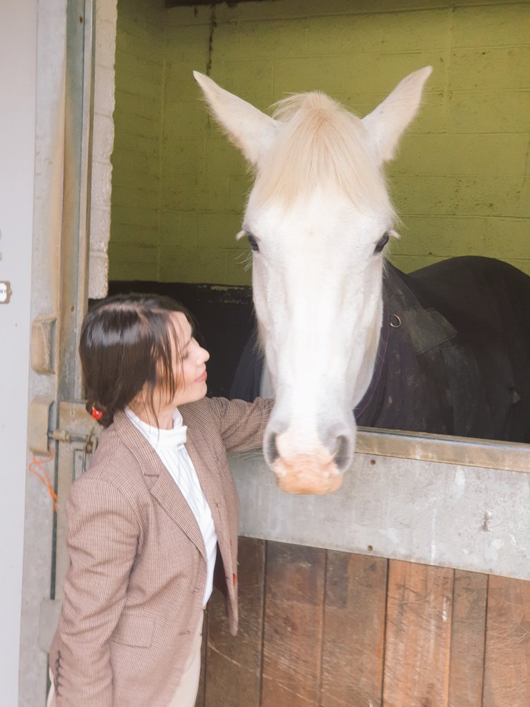 Highheeledlady's tweet photo. Beautiful day autumn day with Jigsaw and Bluebell!! #happpysaturday #horselove #equestrian #monaghan #October2022 https://t.co/g0TFQOvkVd