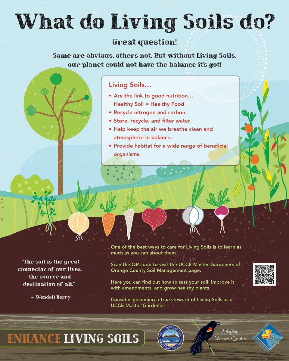 REGENETARIANISM's tweet photo. What living soils do https://t.co/0EhmuU2YOH
