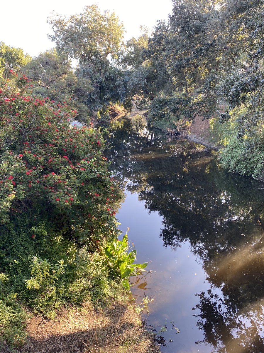 teachwithbonk's tweet photo. Celebrating another year with @californiawp and Environmental Justice. Enjoying the beautiful UC Davis campus and a day filled with inspiration and awareness. Can’t wait to explore this crucial topic with my students and watch them advocate for our world 🌎 #uciwp https://t.co/u9u8VitLQu