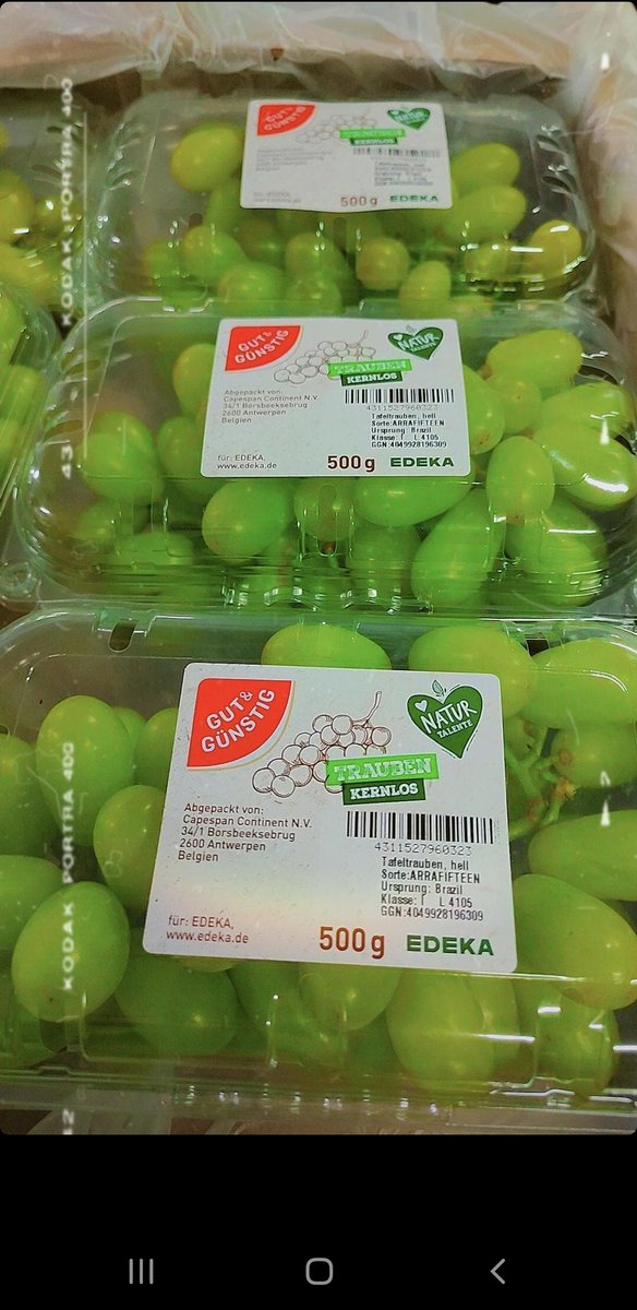 Grapa Varieties tweet media