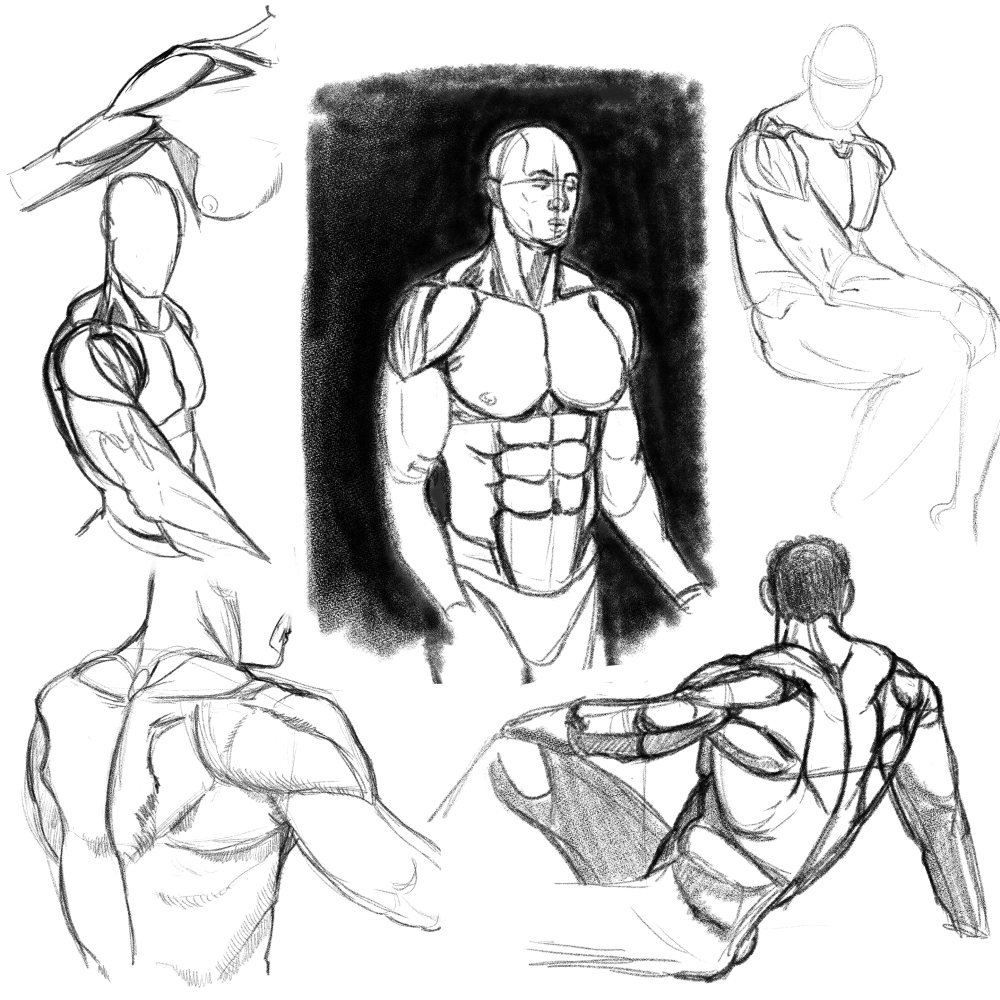 Kalon_Sall's tweet photo. I feel like learning anatomy is like learning the rules of a puzzle whose board is always different each time you open the box. Also I couldn't do a clean doing to save my life >_> https://t.co/Ky6SSFAPZW