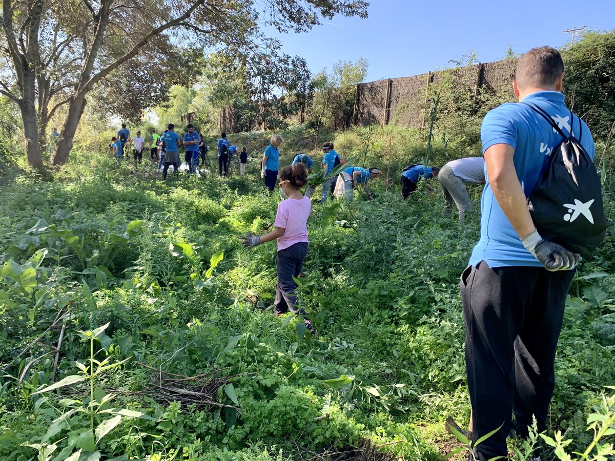 annabatet77's tweet photo. A la ribera del riu Congost a #Llerona hem netejat el terreny de plantes invasores i hem plantat arbres autòctons per preservar una zona d’aniuament d’aus.
@caixabank @voluntariscaixa #CABKSetmana Social @apren_serveis @assoc_habitats https://t.co/jEzrQUxGpO
