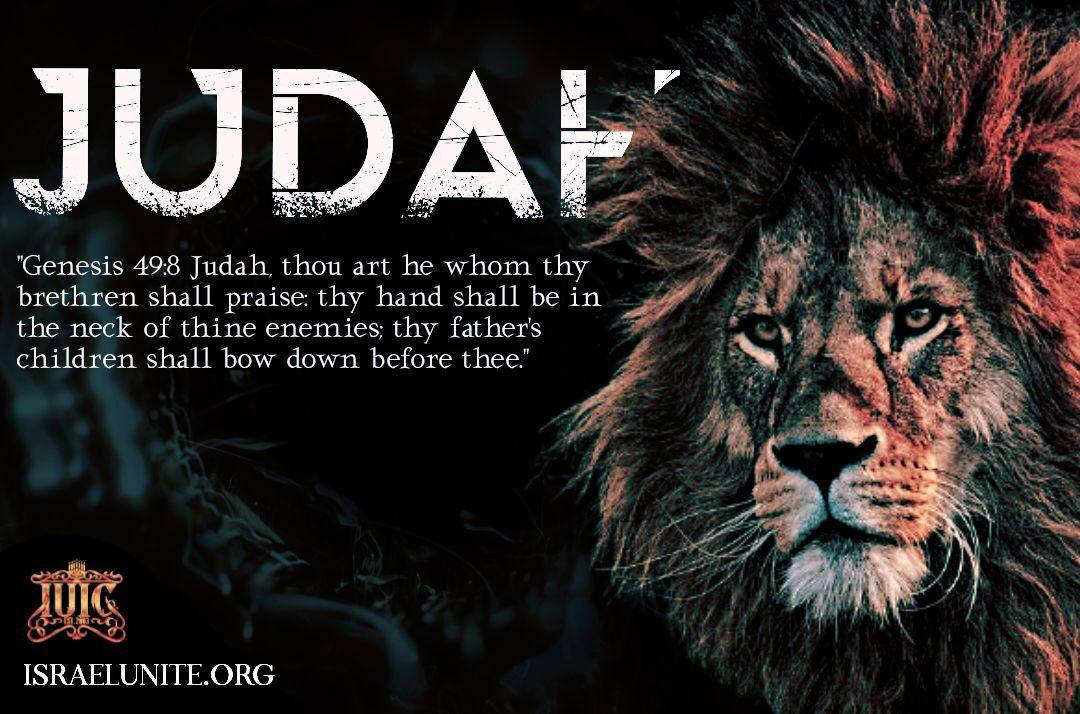 IUICVIRGINIA's tweet photo. #Genesis49:8 Judah, thou art he whom thy brethren shall praise: thy hand shall be in the neck of thine enemies; thy father's children shall bow down before thee. 

#IUIC #UsAgainstTheWorld  #BlacksHispanicsNativeAmericans #BrothersAndSisters #Familia #Israelites https://t.co/aegvo5C60a