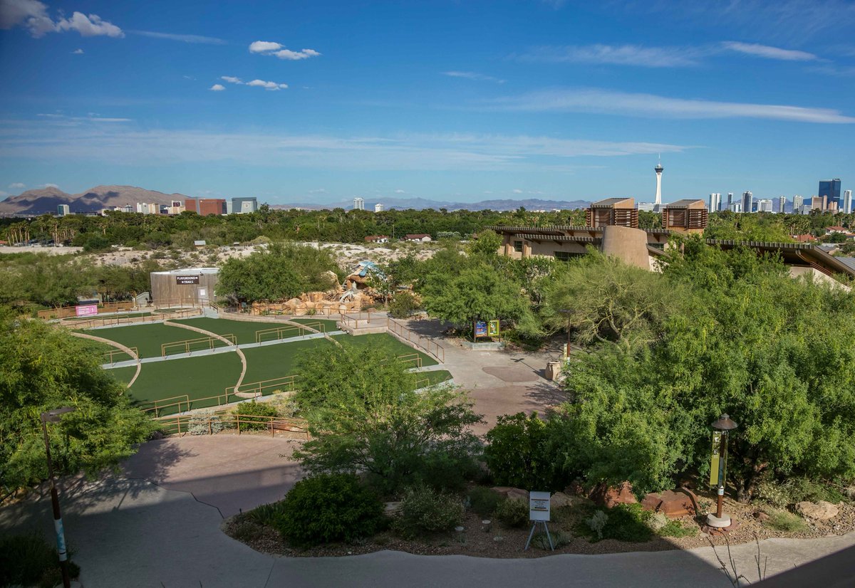 Springs Preserve on Twitter "Enjoying the view from the new Springs
