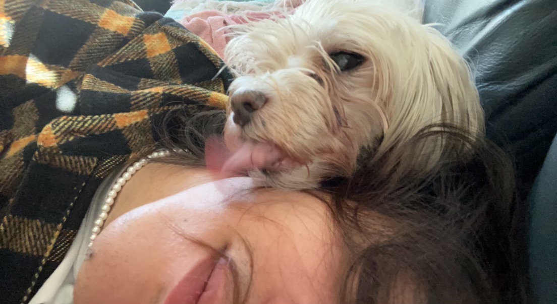 Ritaagarwal6's tweet photo. I had to put my beloved, darling dog Sparky to sleep on Thursday. My amazing colleagues @stanfordanes @StanfordChild @JWilliamsonDO let me out of the OR so that I could go home & make arrangements . He had stopped eating that am. That is what keeps me here. #caringcolleagues https://t.co/lG2FoDGSMt