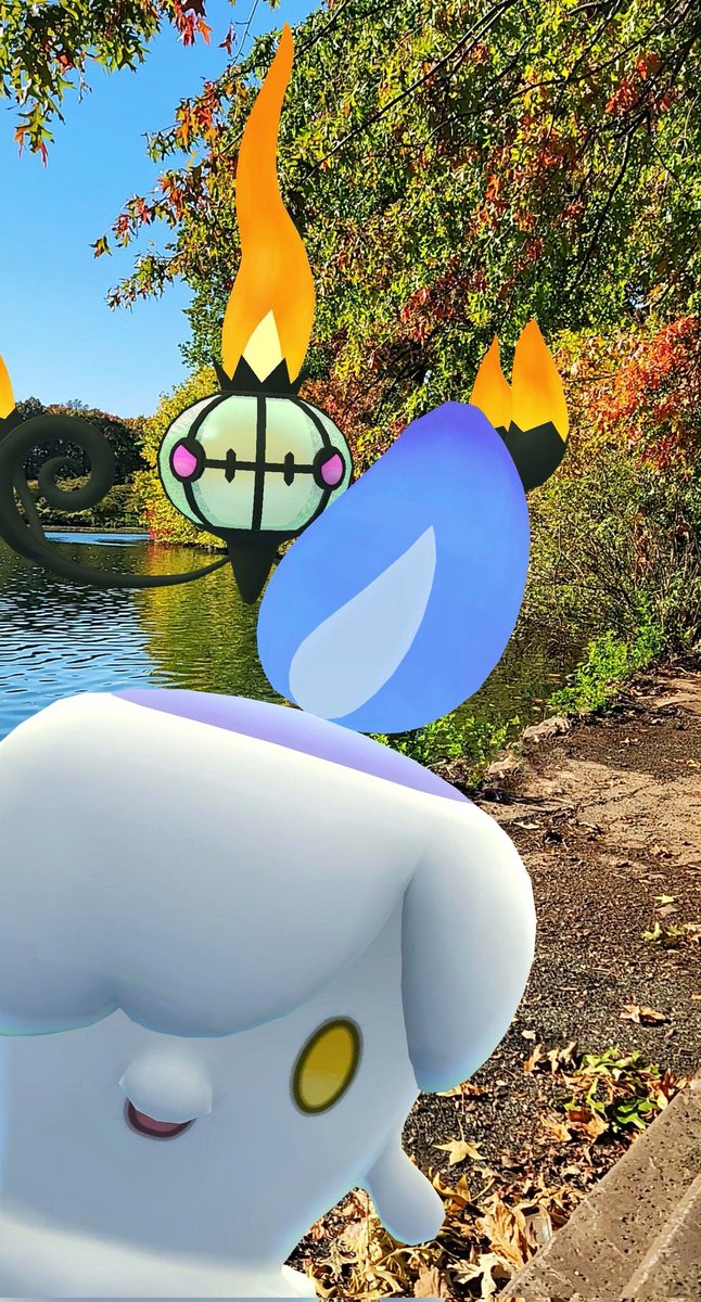 adrielpgro's tweet photo. #PokemonGOCommunityDay https://t.co/zlOHkuAp4i