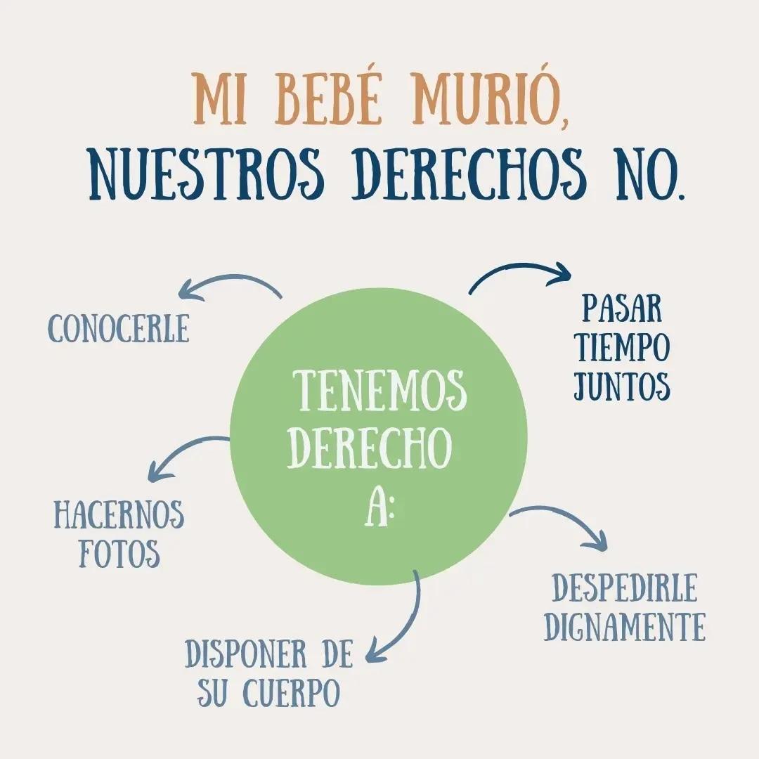 MovimientoRuben's tweet photo. @MovimientoRuben #DueloConDerechos https://t.co/VXC5ovCiWS
