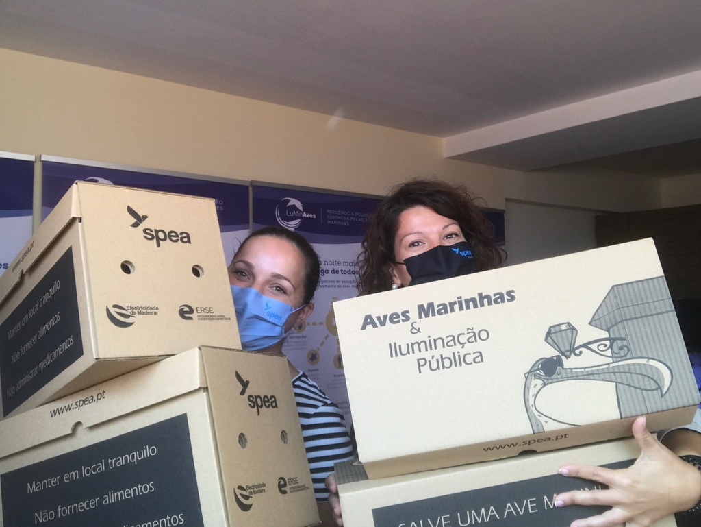 spea_birdlife's tweet photo. Até 15 de novembro, passaremos as noites a salvar cagarras.
Junte-se a nós:
Madeira: https://t.co/8eYZ0pZHij
Açores: https://t.co/QbIPnWt7bp
#LIFENAturaatnight #SalveUmaAveMarinha #SOSCagarro
@iac_astrofisica
@itccanarias
@munfunchal
@seo_birdlife
@LIFEProgramme
@cinea_eu https://t.co/8dp1xbvS12