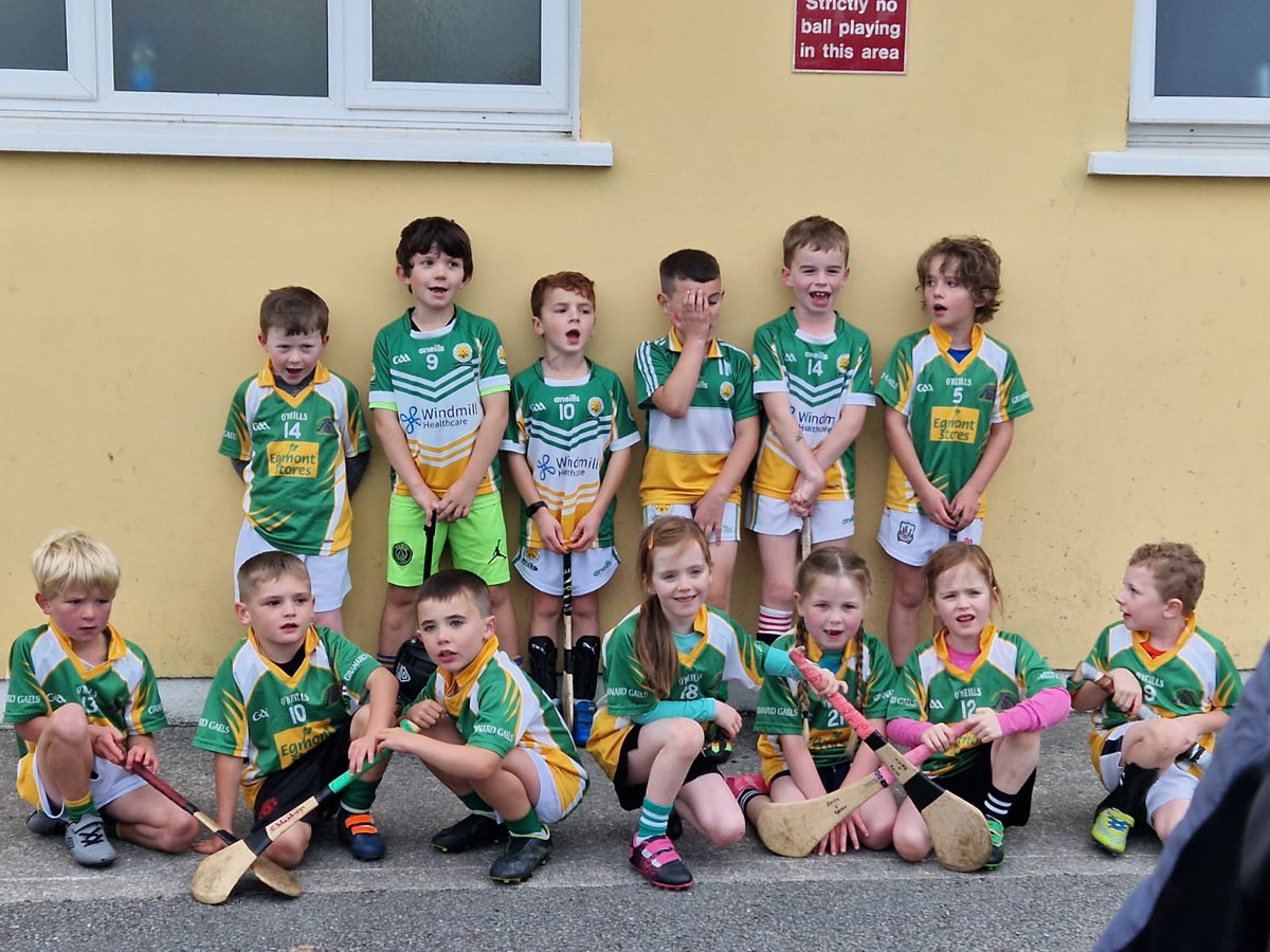 LCGaelsGAA's tweet photo. Best of luck to the Junior team in the North Cork final tomorrow from your match buddies, the U6s. Bring it home lads! https://t.co/BmPcmo6b0g