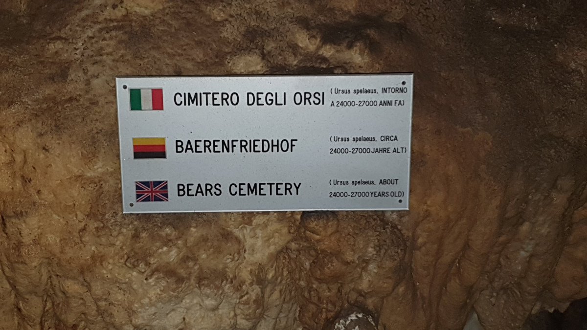 Marco Santini ☠️ tweet media