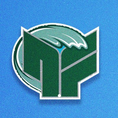 NolaFlightGG's tweet photo. #RollWave #BeatUSF 🌊
@GreenWaveFB #FlyTheWave https://t.co/clMiQKaTPa