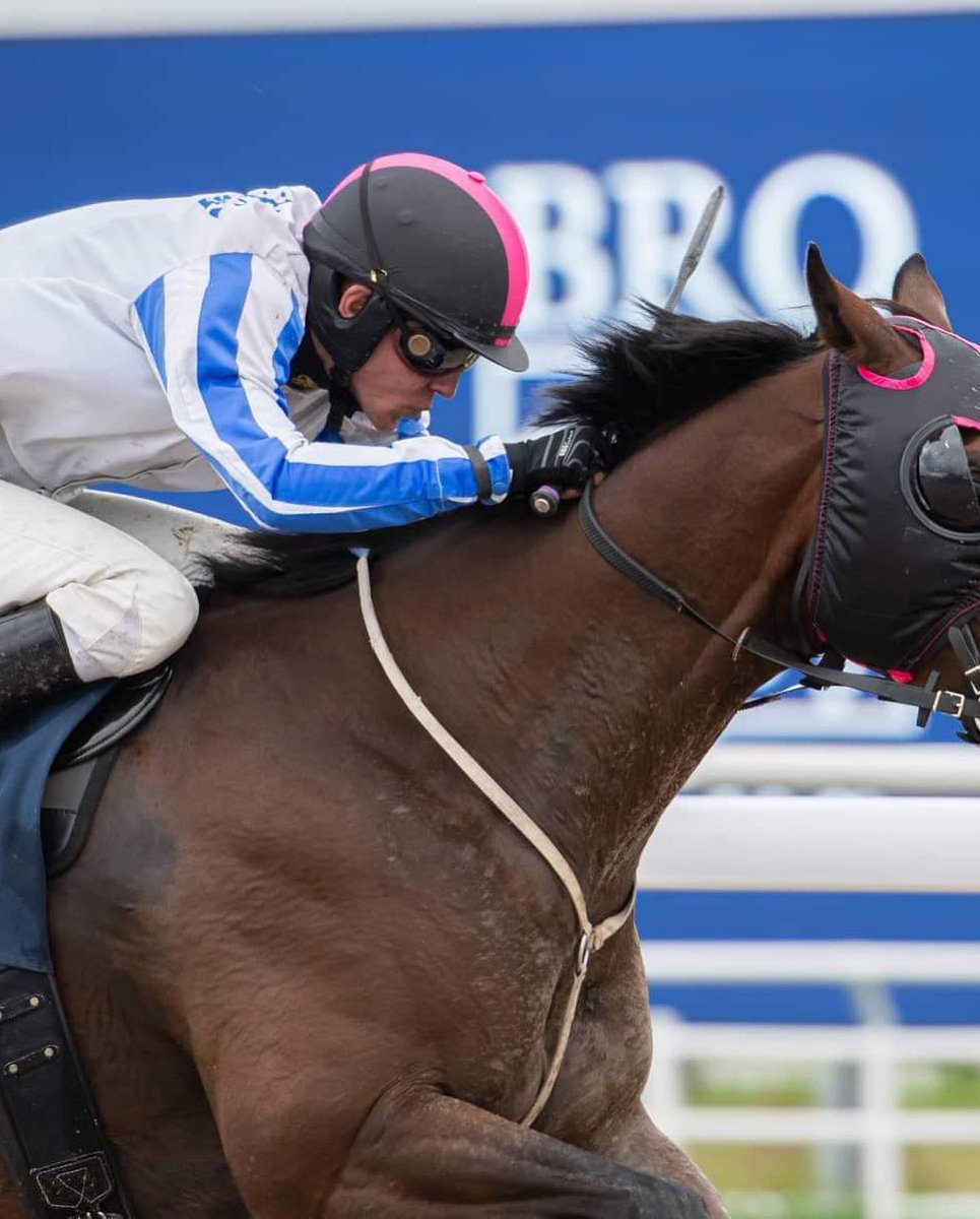 european_shf's tweet photo. Get to know our Student Derby Riders ๐ช
โAt the moment Iโve had 38 winners in my career with some highlights being 2nd in the Swedish Grand National 2022โ
๐๐https://t.co/mCSKOiCpX8
The Student Derby returns to the @curraghracecourse on October 26th ๐
#ESHF #studentderby https://t.co/xnCYJBpdjz