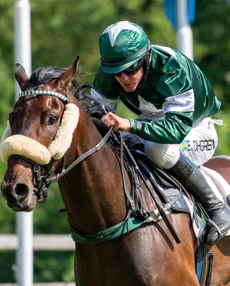 european_shf's tweet photo. Get to know our Student Derby Riders ๐ช
โAt the moment Iโve had 38 winners in my career with some highlights being 2nd in the Swedish Grand National 2022โ
๐๐https://t.co/mCSKOiCpX8
The Student Derby returns to the @curraghracecourse on October 26th ๐
#ESHF #studentderby https://t.co/xnCYJBpdjz