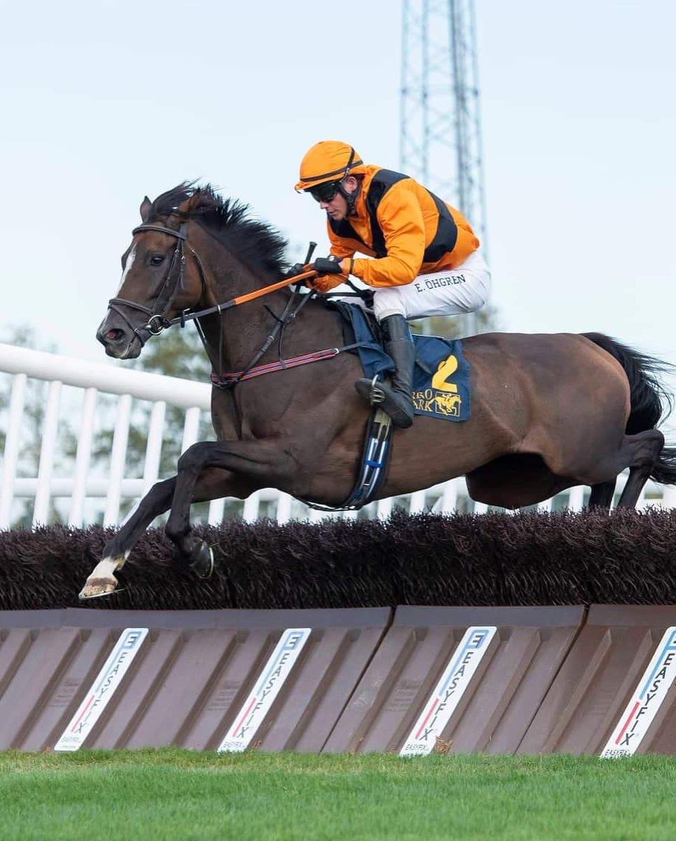 european_shf's tweet photo. Get to know our Student Derby Riders ๐ช
โAt the moment Iโve had 38 winners in my career with some highlights being 2nd in the Swedish Grand National 2022โ
๐๐https://t.co/mCSKOiCpX8
The Student Derby returns to the @curraghracecourse on October 26th ๐
#ESHF #studentderby https://t.co/xnCYJBpdjz