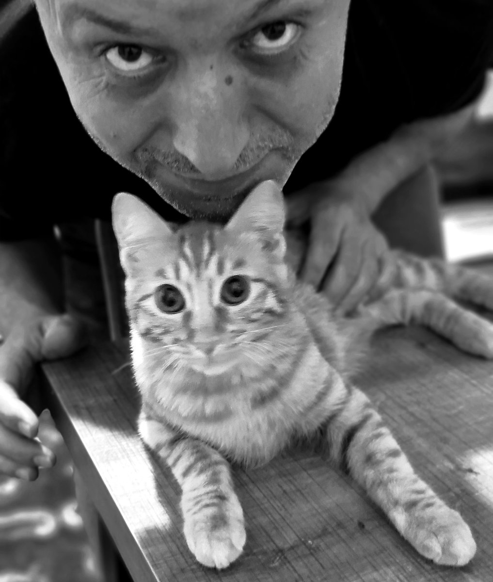 barbarnedim's tweet photo. "...
çınar ağacı koyu gölge gerinen kedi
kuş telaşında akşamın durduğu yerdeyim "
@barbarnedim
@barbaredebiyat 49. sayıdan https://t.co/xuT037THQL