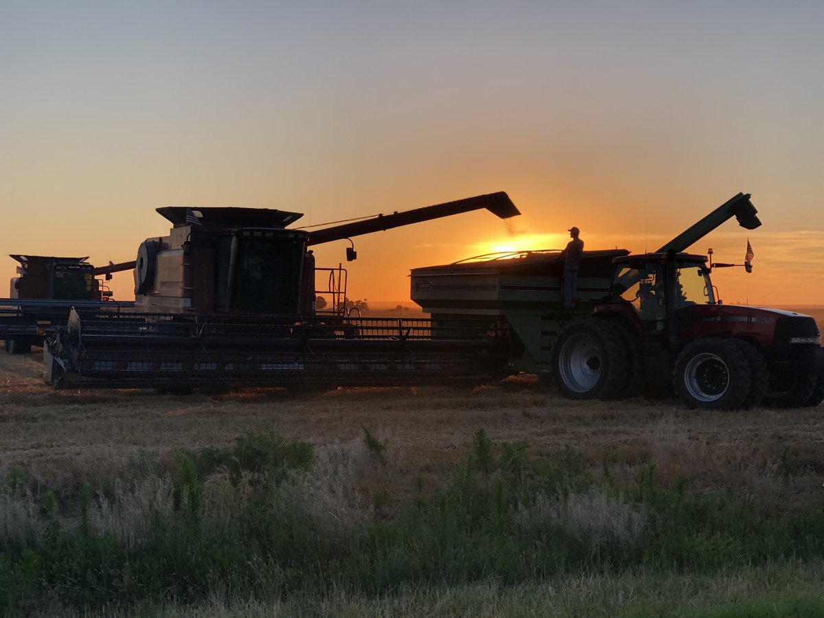 brooke_reimer's tweet photo. @SiekerSales @NewAgSupply https://t.co/NgiBnAfJun