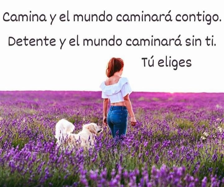 Hortensia Perez (@hortens9654) on Twitter photo 