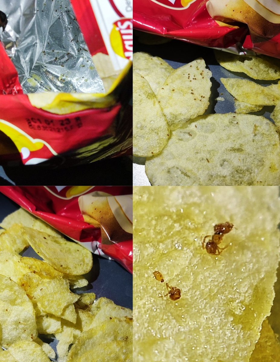 sergaloh's tweet photo. @LaysESP ¿Cómo es de normal que vuestras patatas traigan lo que parecen hormigas? Las fotos son de hoy, y mi hijo se ha comido unas cuantas. ¿Con la alerta de las del horno no es suficiente? https://t.co/xhYkxKQdME @agarzon @facua @consumidores https://t.co/gXO3KjJuSe