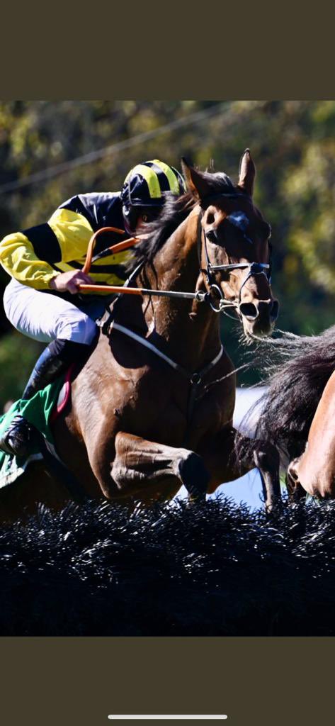 peterflood8's tweet photo. Great to see Ted Hastings win the Foxbrook Champion Hurdle tonight in @FarHillsRace under @_Davy_Russel_ Sold by Grange Stables after his @irishp2p to @gelliott_racing @AidanJRyan2 @AOryan well done to all connections!!! @venglish68 https://t.co/nVhnyb06Cn