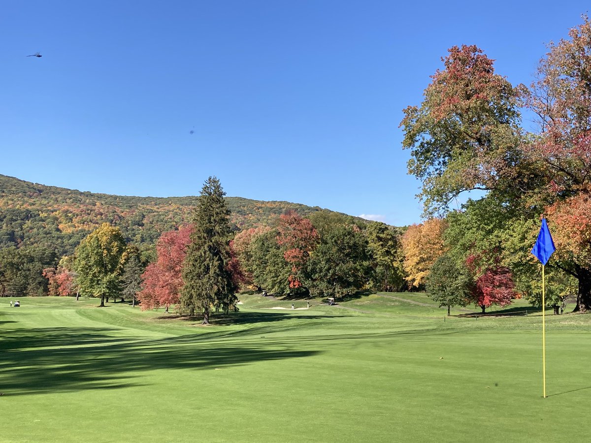 Pocono Turfgrass tweet media