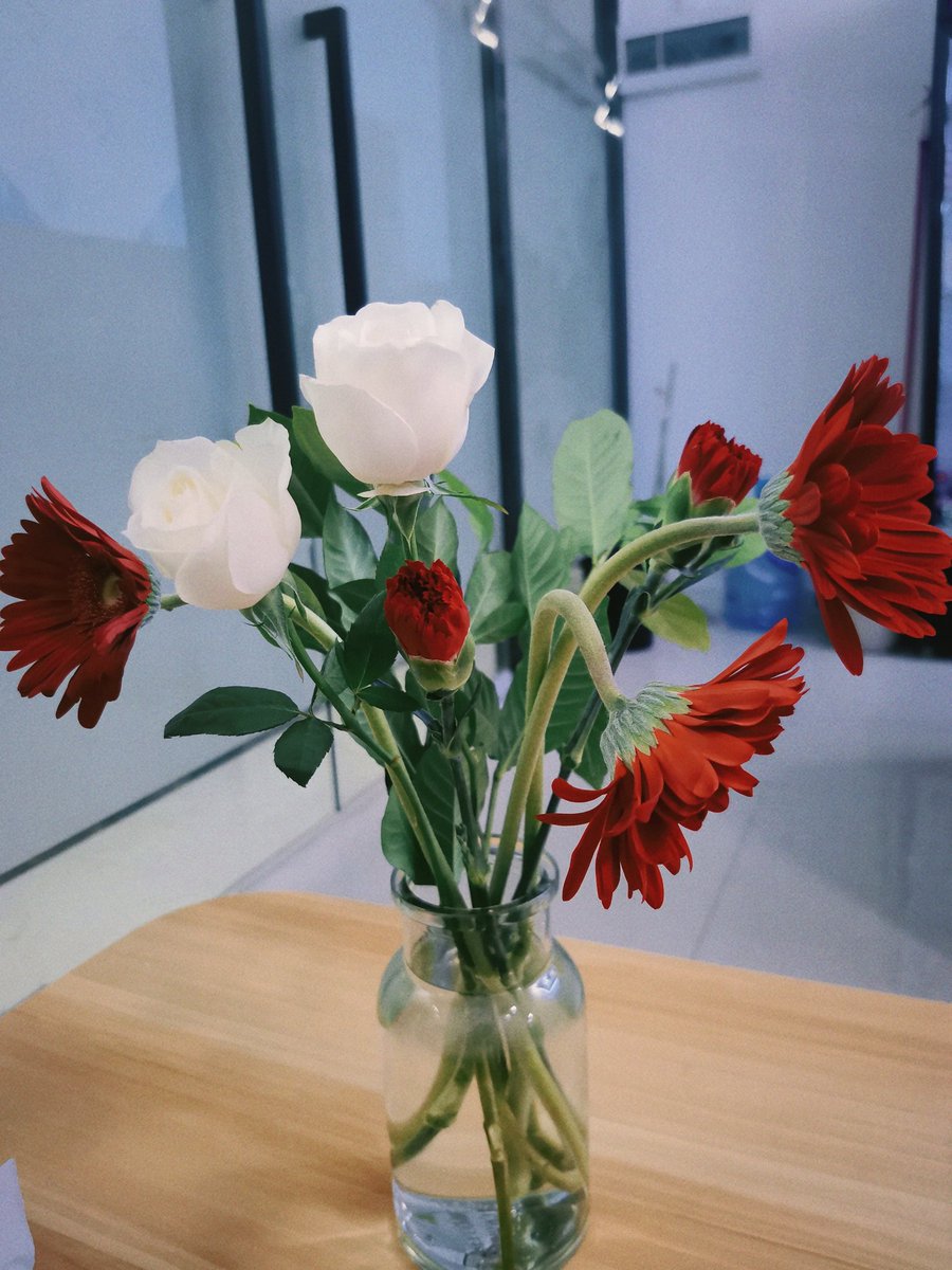 YeahKio_'s tweet photo. 分享一下朋友送的生日预热花束。 https://t.co/FIxqeUcwMs