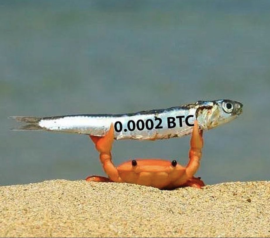 CarlBMenger's tweet photo. Dream big. Start small. Act now. Getting off zero #Bitcoin changes everything. https://t.co/t8cpJb7lLv