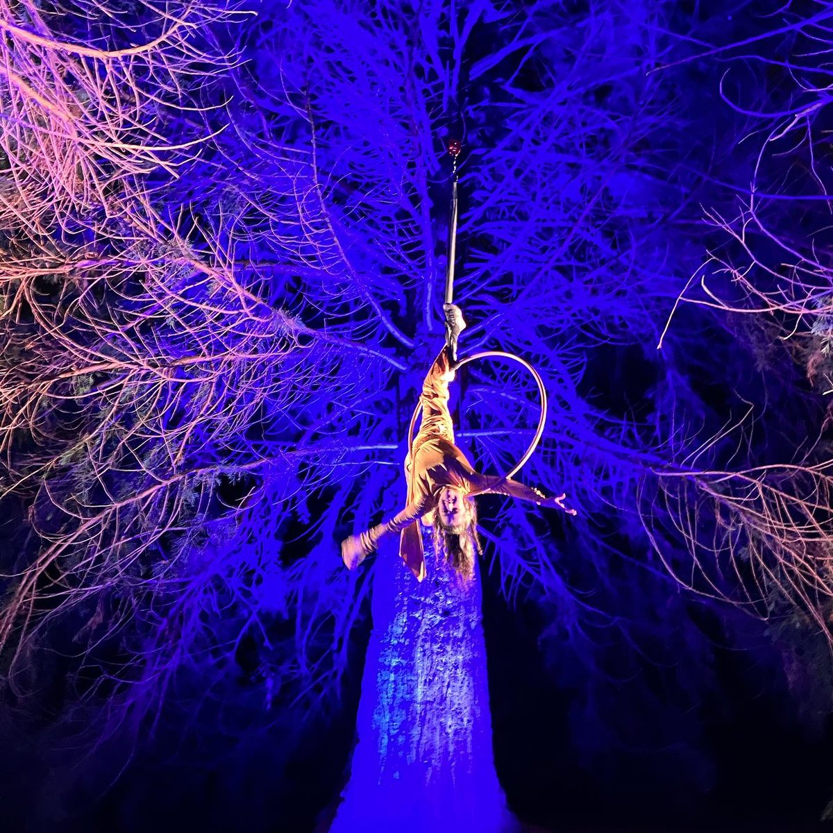 susanpmains's tweet photo. Back at the @DundeeBotanics. Got lucky and managed to go with the kids to see @dundeeuni’s #FestivalOfTheFuture2022’s ‘Over the Garden Wall’ tonight. It was lovely. #TreesTrapeze #TreesAreTheBeesKnees #FloodlitForest https://t.co/7HWbVeaOWv