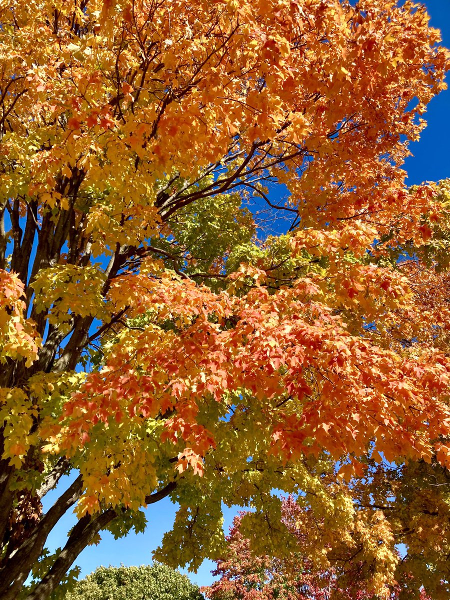 Christa Worrell tweet media