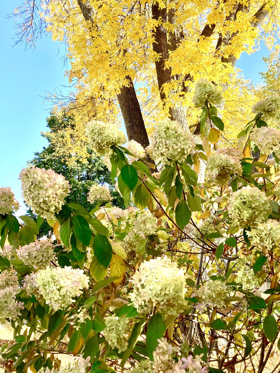 Christa Worrell tweet media