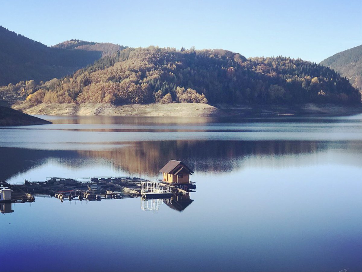 alibozemoj's tweet photo. Јесеновање
#taramountain #drinariver #zaovinelake https://t.co/BlxMRPiZxd