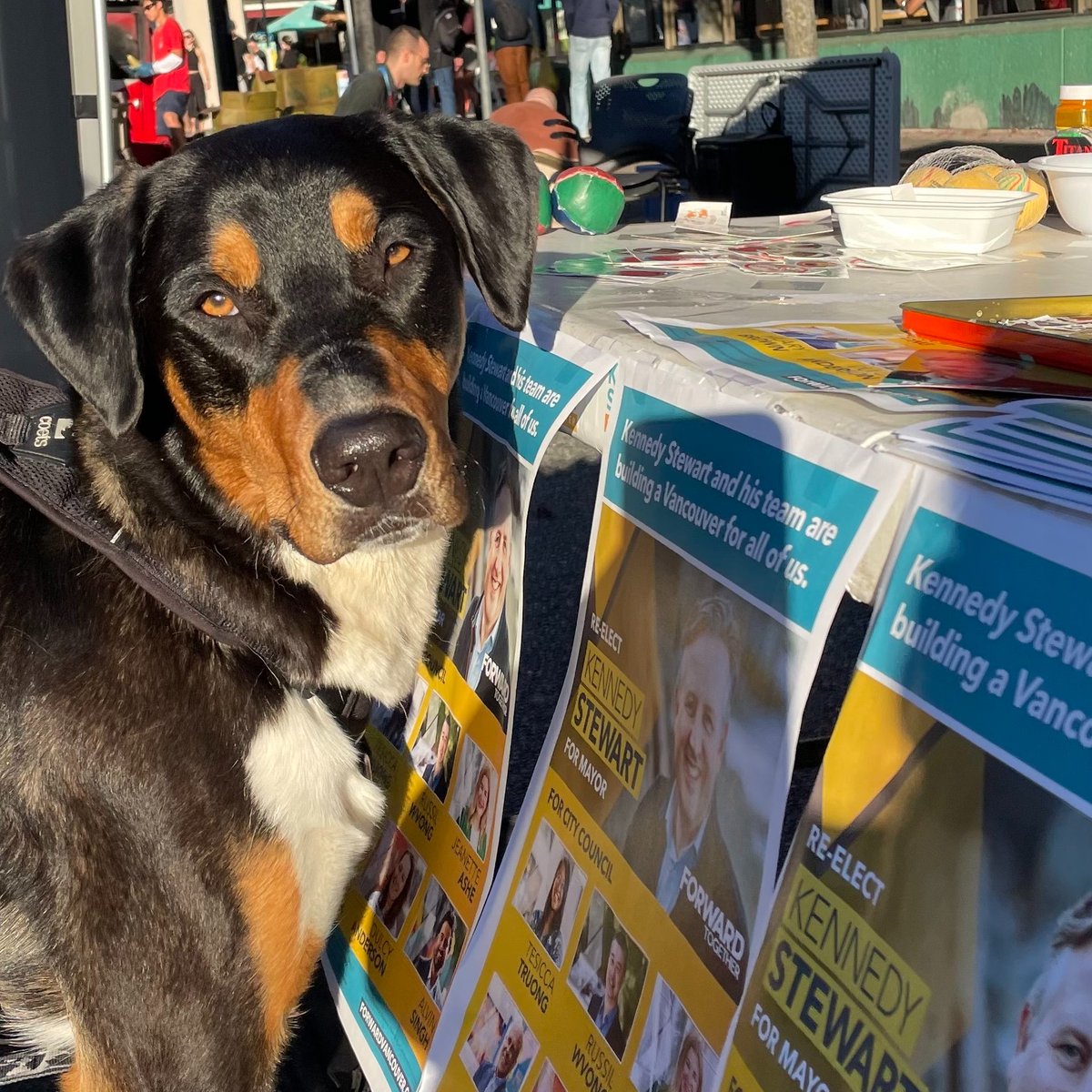 Forward Together Vancouver tweet media