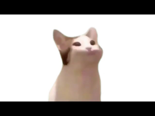 NinjaSalmon1's tweet photo. polish pop cat – In its most general sense, a fair use is any copying of copyrighted material done for a limited and “transformative” purpose, such as to comment upon, criticize, or parody a copyrighted work. Such uses can be d... https://t.co/xmfhkyeZeX https://t.co/JcljSFtc09