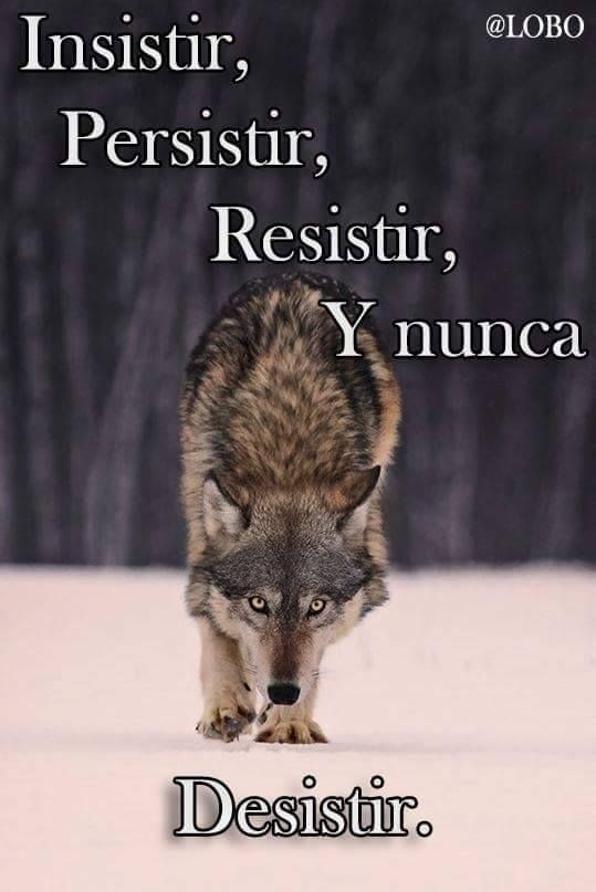 // toh spoilers

hunter usaría estas imágenes no irónicamente