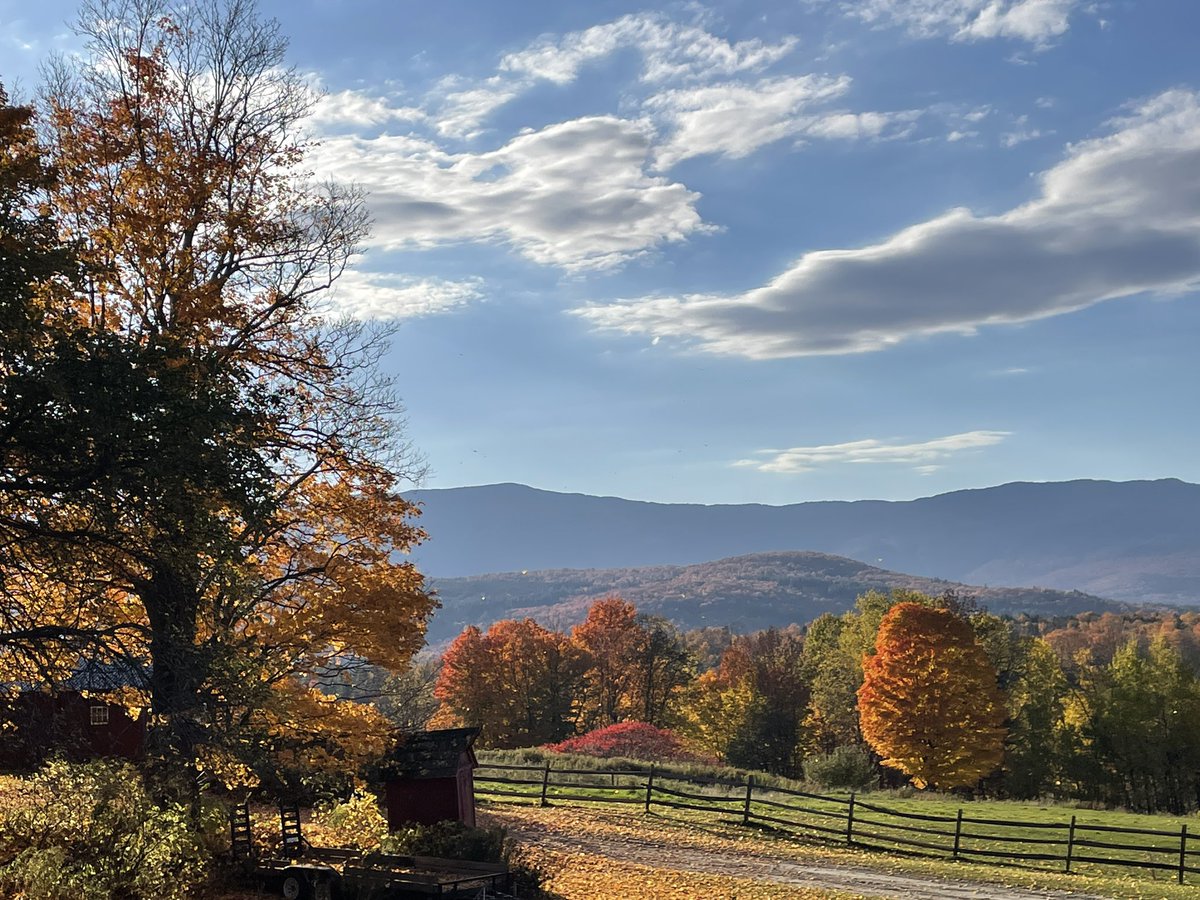 DebMarkowitz's tweet image. Peak foliage #vermontviews #leafpeeper