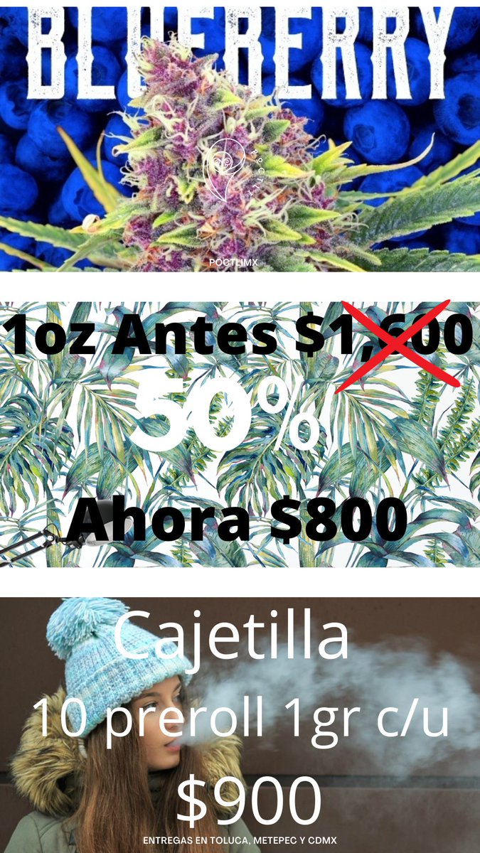 Poctli_mx's tweet photo. Tenemos un amplio catálogo de flores. Comprueba nuestra calidad. #grifoesamor #cannabislegal #tolucannabis420 #mota #marihuana #420mexico #cannabis🍁 #legaliza #Toluca #tolucannabis #420Toluca #thc #porros #cheetos #resses #preroll #prerrolados #PuraKush #promociones #oferta https://t.co/LXC8aYuKxf