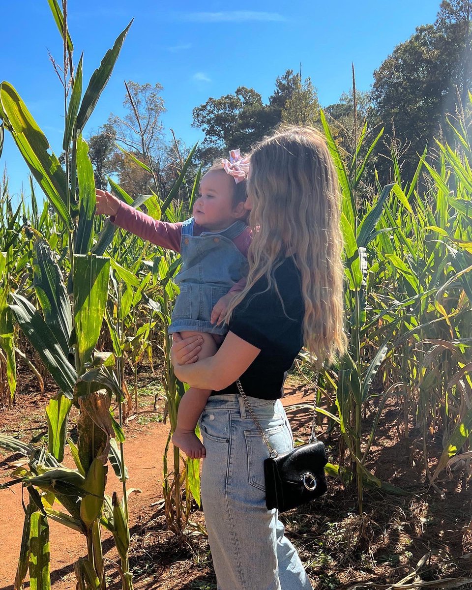 Jared Walker tweet media