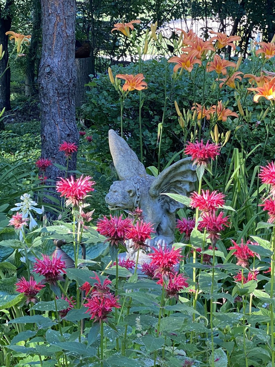 dancingkrow's tweet photo. #FlowersonFriday #ChimeraGarden #gargoyles https://t.co/frfnEVssro
