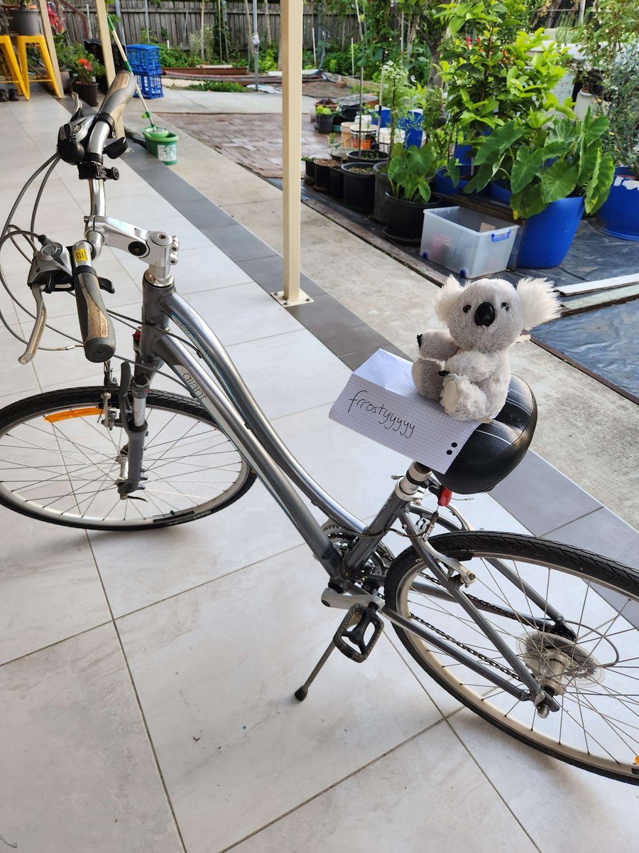 frrostyyyyy's tweet photo. whos ready to go on an adventure??? 
@Koala_B_Club #CNFTProject #CNFTCommunnity #NFTCommuntiy #LFGCycle https://t.co/M2S7C7omGb
