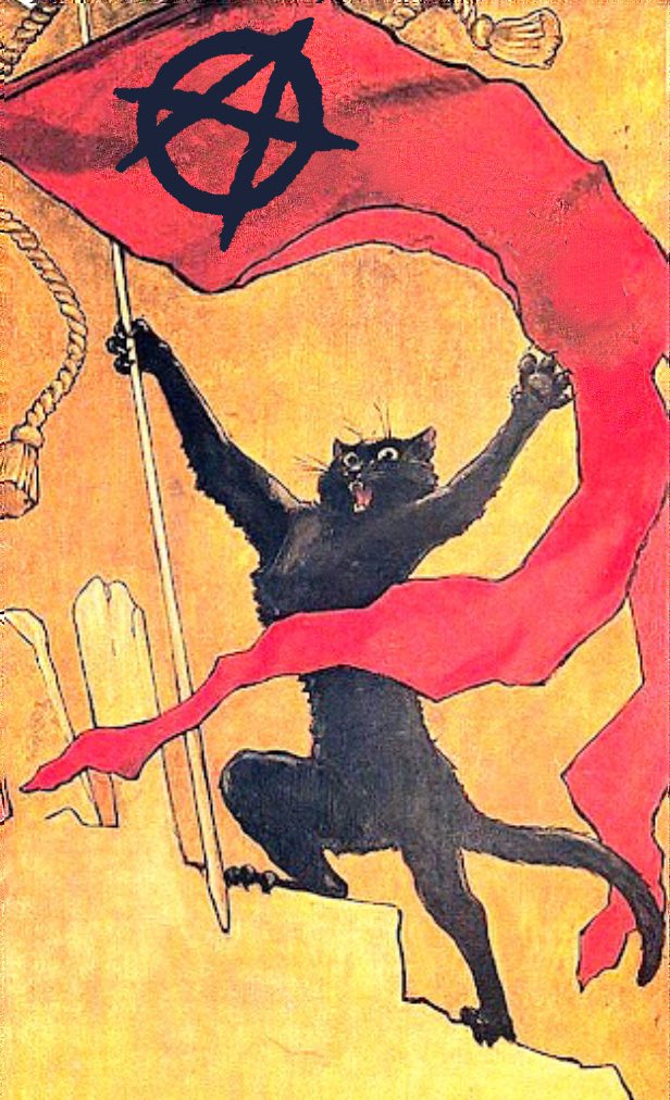 anarchillect's tweet image. 