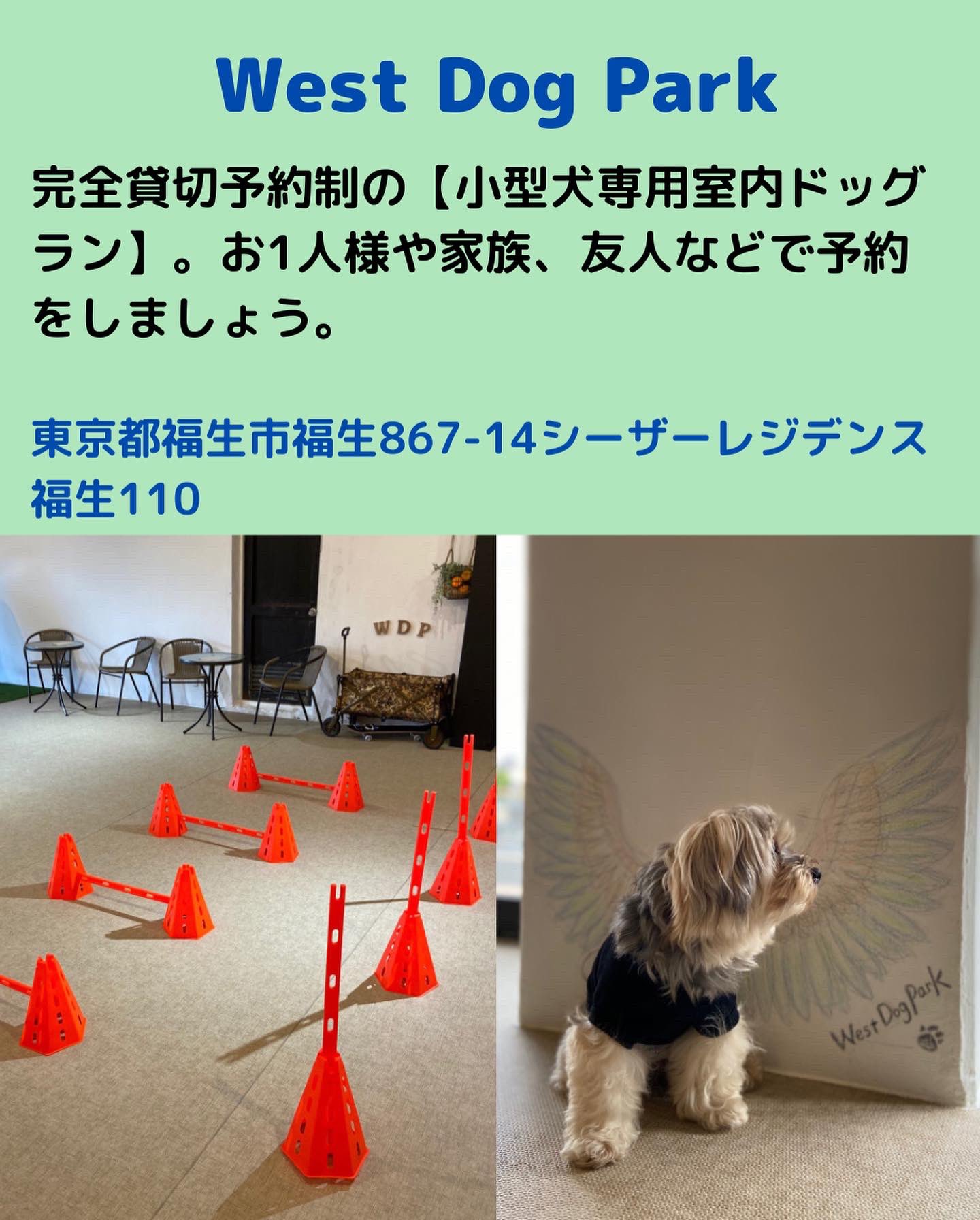 室内ドックラン Twitter Search Twitter