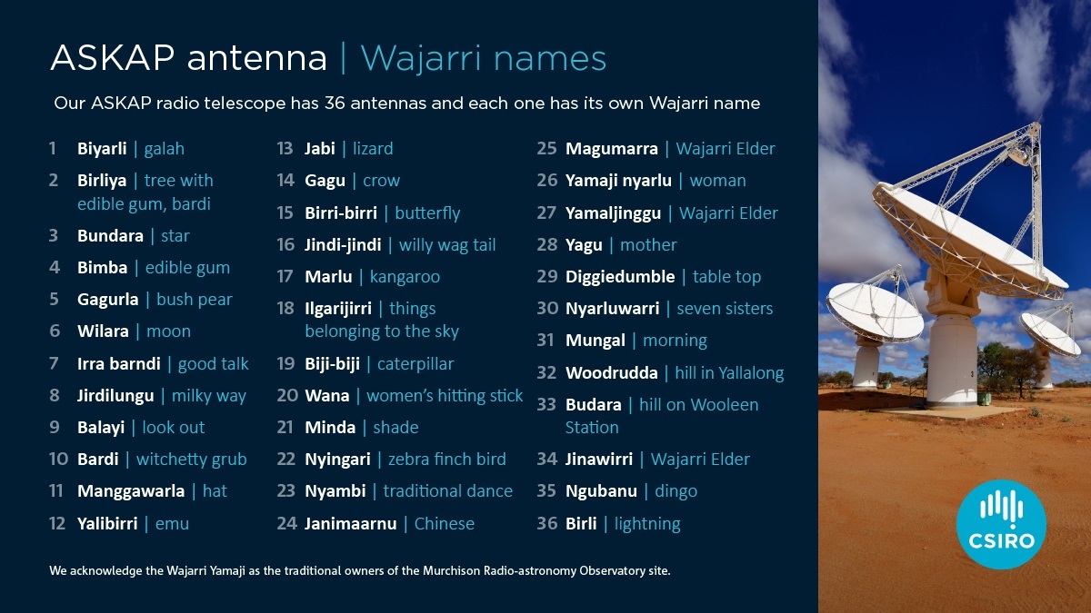 Meet Birliya, Bundara and Biyarli. ⭐

ASKAP has 36 antennas working together, and sits on the cutting edge of radio astronomy.

Each antenna has its own Wajarri name to acknowledge the Wajarri Yamatji Country on which they operate. 🖤💛❤