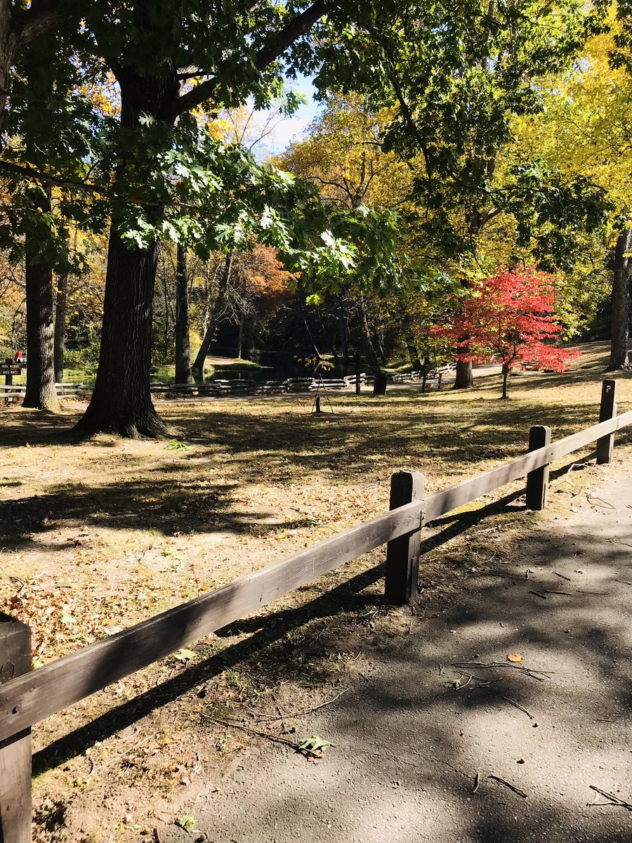 ozarkswriter's tweet photo. My happy place. #maramecspringpark #fabulousfall #Missouri https://t.co/ISdpoSxHHX
