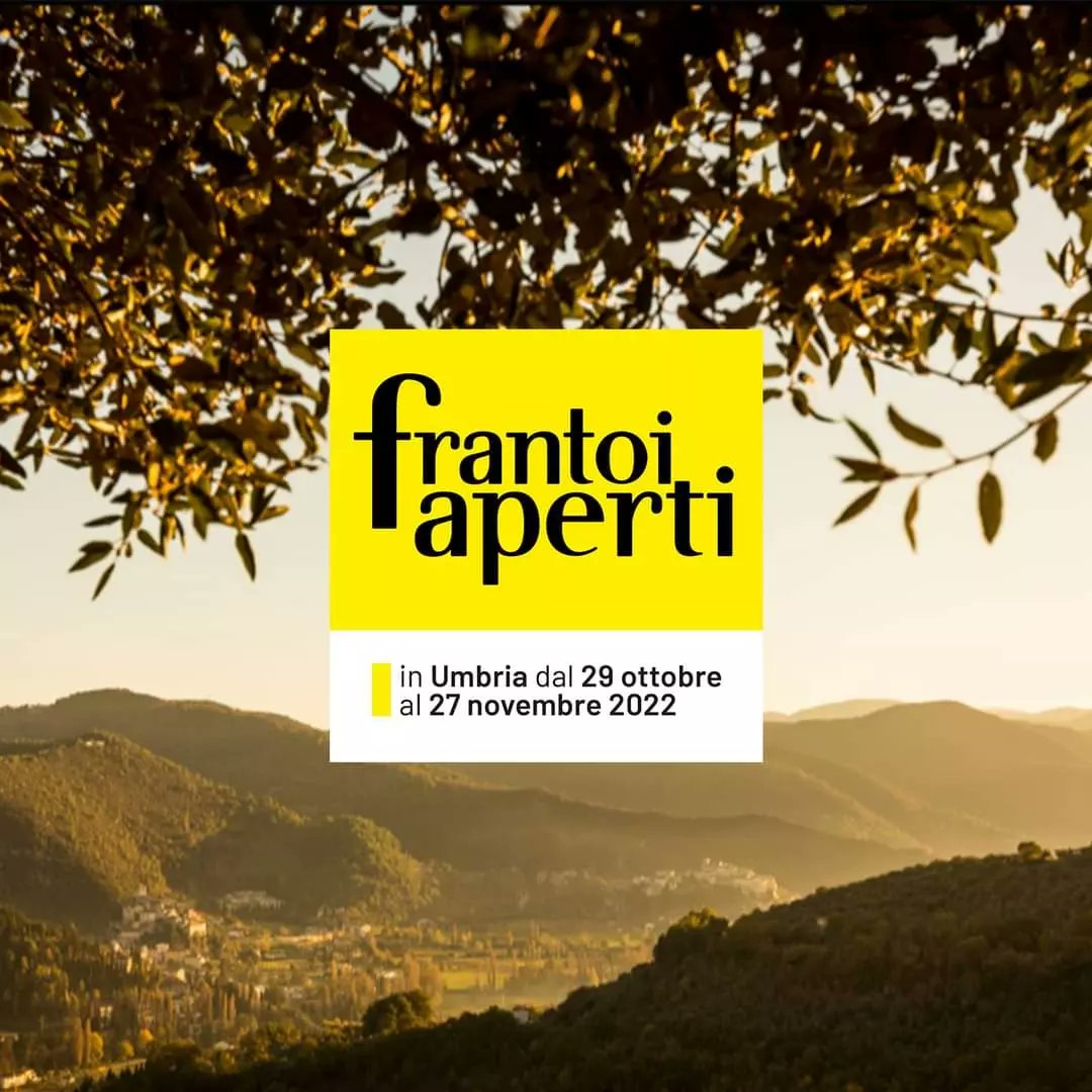 Vivere l Umbria tweet media