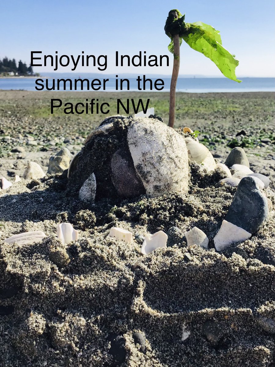 paula_engborg's tweet photo. #bainbridgeisland #pacificnorthwest #beach #indiansummer #sandcastle #weekendfun #playing #sunny #paulaengborg #upperleftcoast #awayup https://t.co/3XImpR9xth