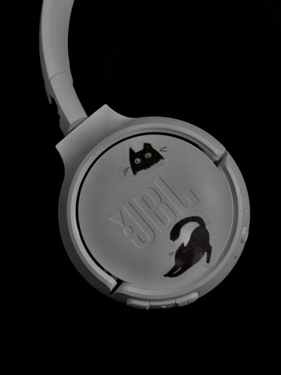 0utst's tweet photo. 🐈‍⬛ https://t.co/3gJRytJrCk