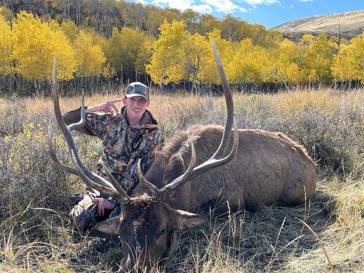 Steve Moffitt tweet media