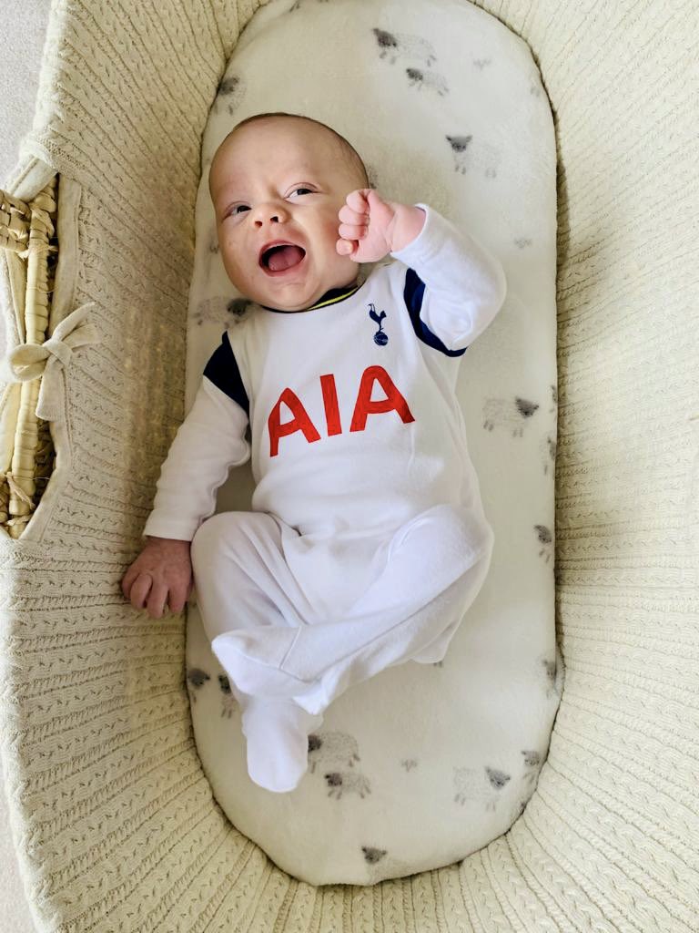 robertpurse's tweet photo. It’s safe to say our newest arrival to the @SpursOfficial family enjoyed that win! He was absolutely delighted with that @HKane penalty. Cool as you like! #COYS #THFC #Spurs https://t.co/Dgqx9YMyGs