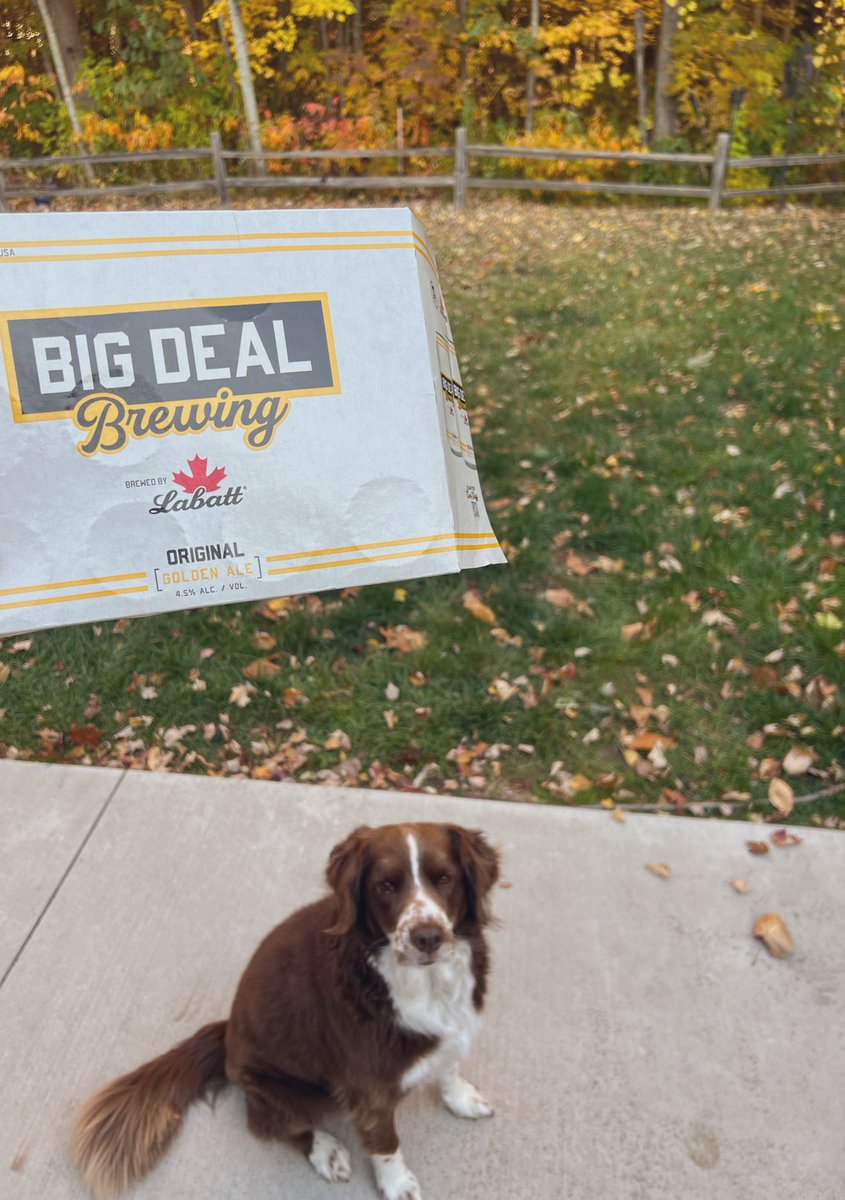 boomer25_'s tweet photo. Full case down on this fall day in Michigan @bigdealbrew https://t.co/zNiHq21s0F